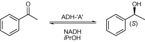 Graphical Abstract