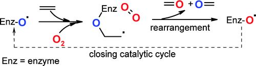 Graphical Abstract