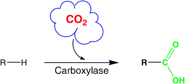 Graphical Abstract