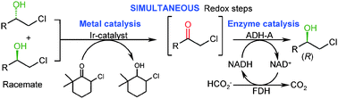 Graphical Abstract