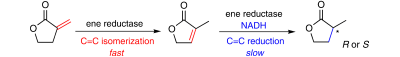 Graphical Abstract