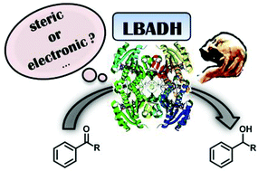 Graphical Abstract