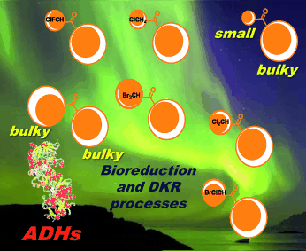 Graphical Abstract