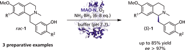 Graphical Abstract