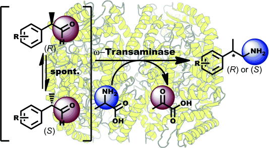 Graphical Abstract