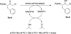 Graphical Abstract