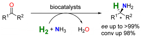 Graphical Abstract