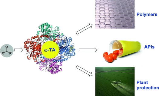 Graphical Abstract