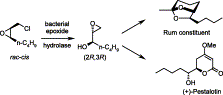 Graphical Abstract