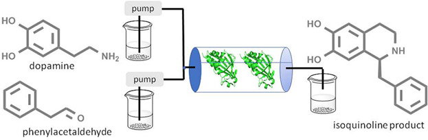 Graphical Abstract