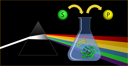 Graphical Abstract