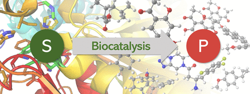 Graphical Abstract