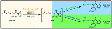 Graphical Abstract