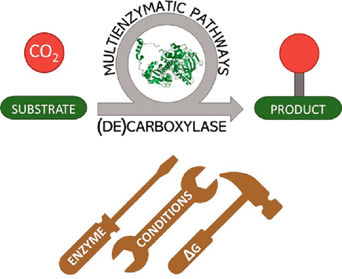 Graphical Abstract