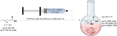 Graphical Abstract