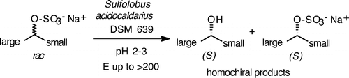 Graphical Abstract