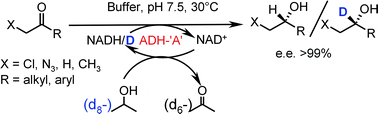 Graphical Abstract