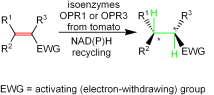 Graphical Abstract