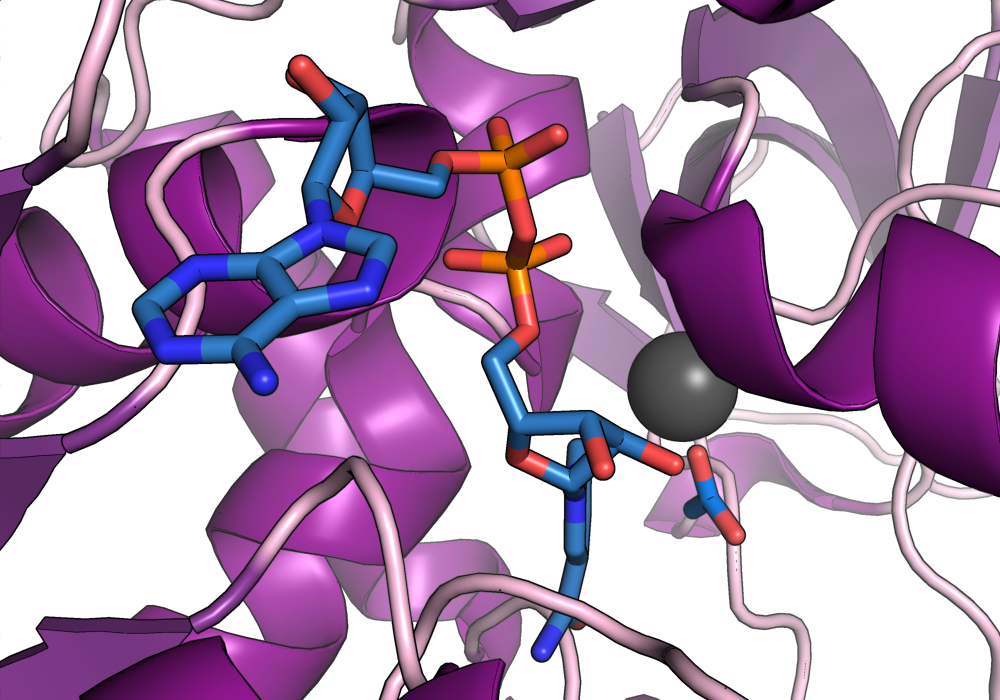 Graphical Abstract