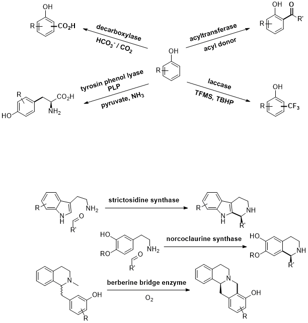 Graphical Abstract